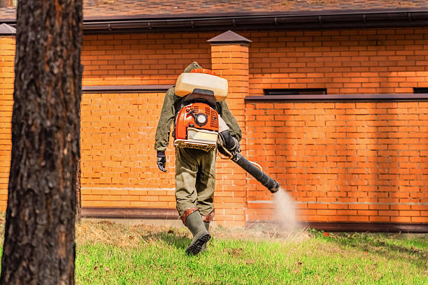 Bed Bug Clearance Verification and Documentation in Loma Rica